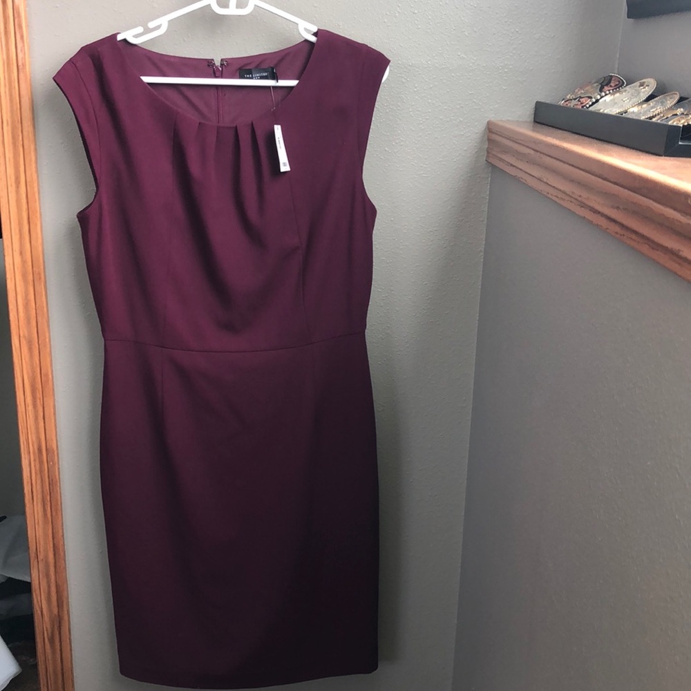 The Limited size 10 dress